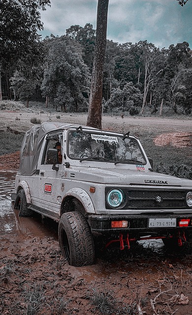 曼聯在下半 曼聯在下半