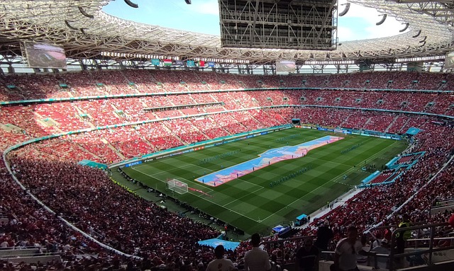 到了充分发 到了充分发