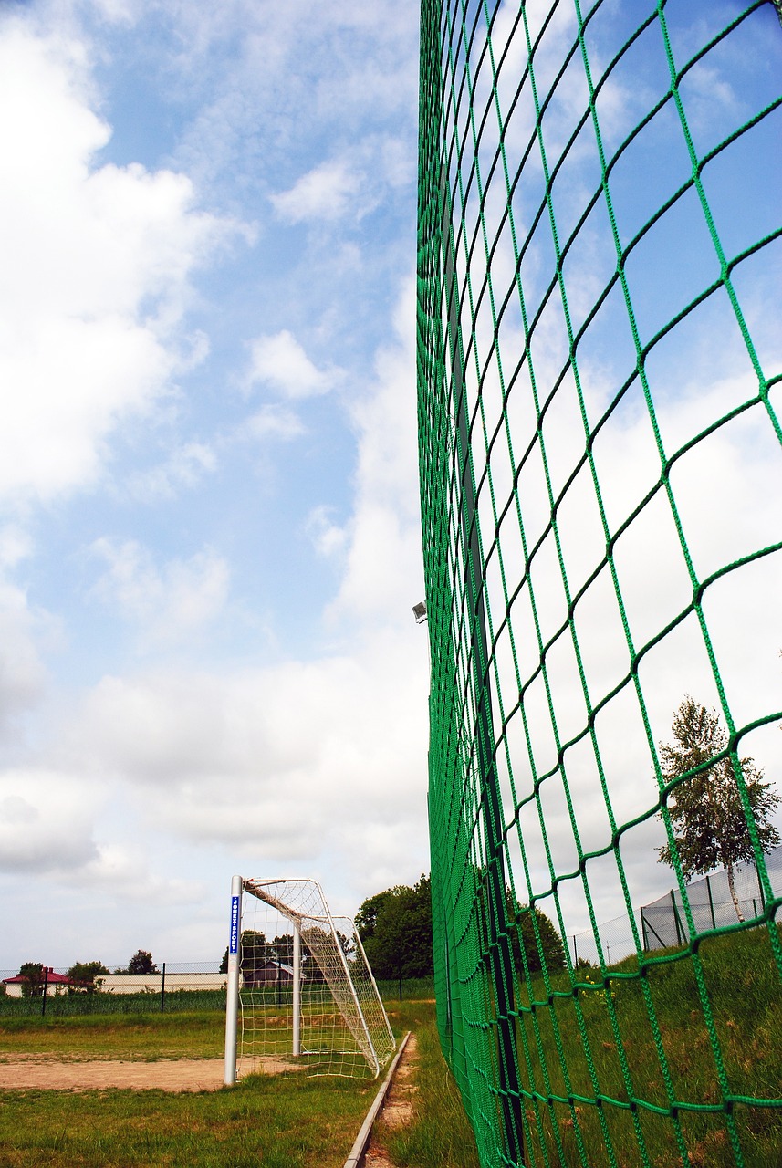 这一举动不 这一举动不