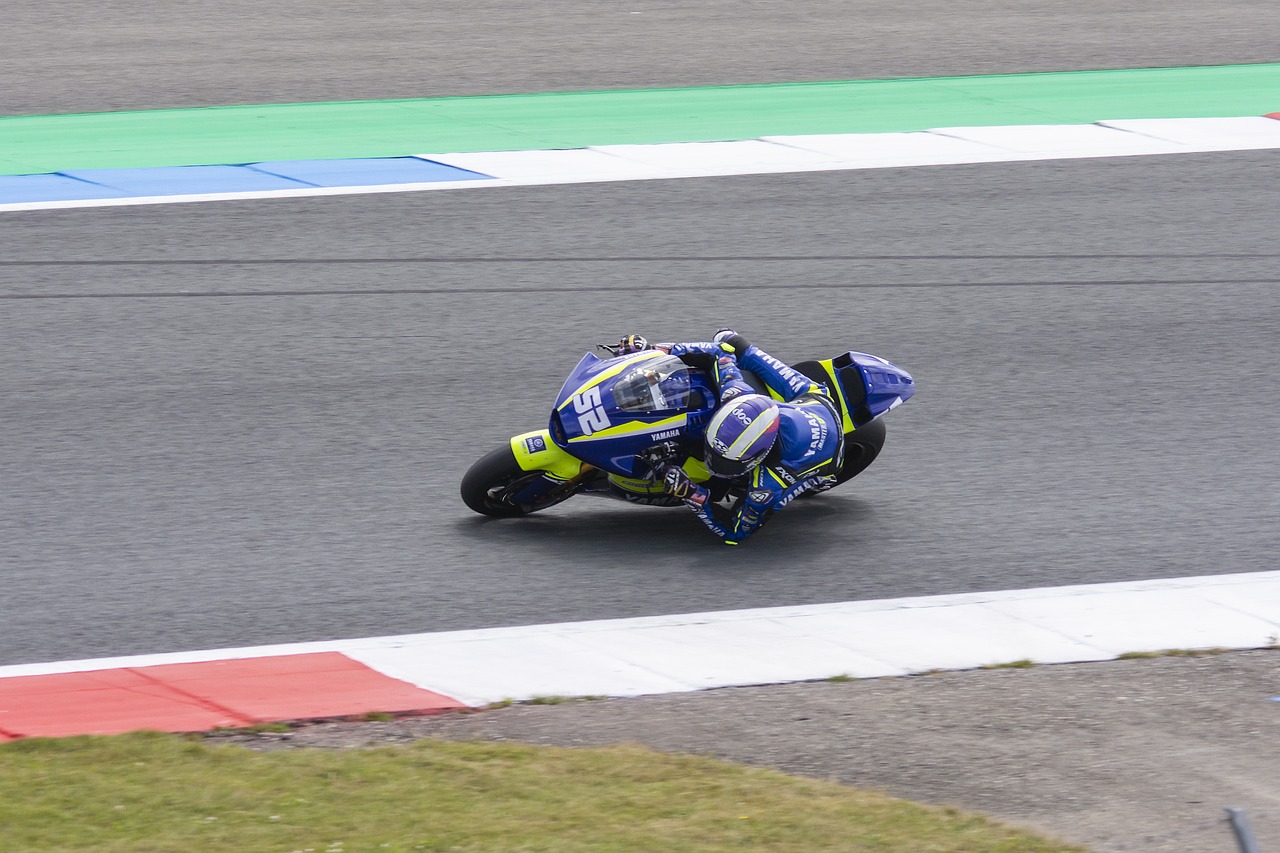 最新排名新 最新排名新