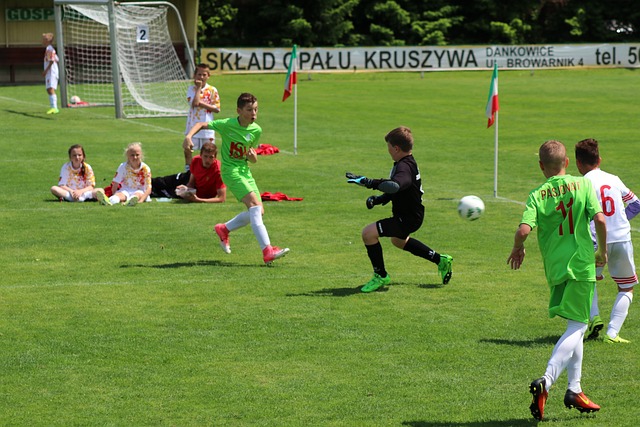 犯规能力的 犯规能力的