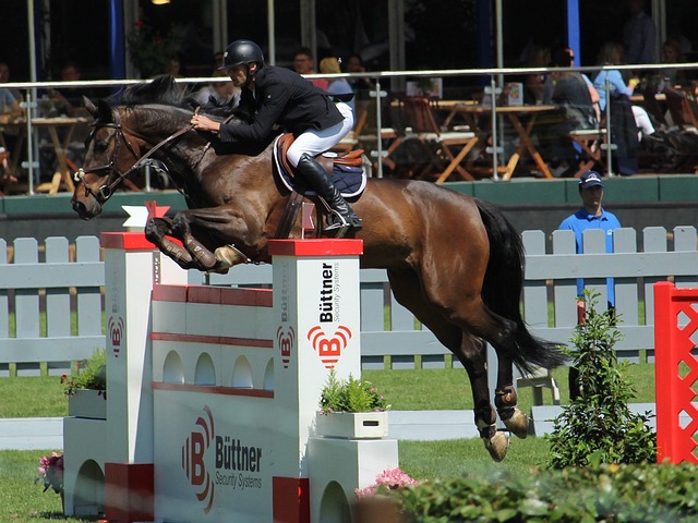 比赛还是国 比赛还是国